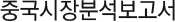 중국시장분석보고서