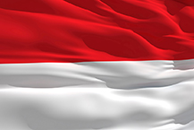 인도네시아, PP 30만톤 증설