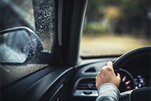 컴파운드, 자동차가 성장 좌우한다!