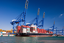 합성수지, 컨테이너 운임 폭락세