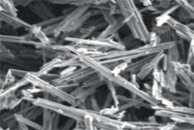 CNF, 5G‧자동차 시장 개척하라!