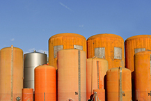 암모니아, 해외조달 프로젝트 속도