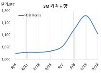 SM, 폭등 후유증으로 폭락했다!
