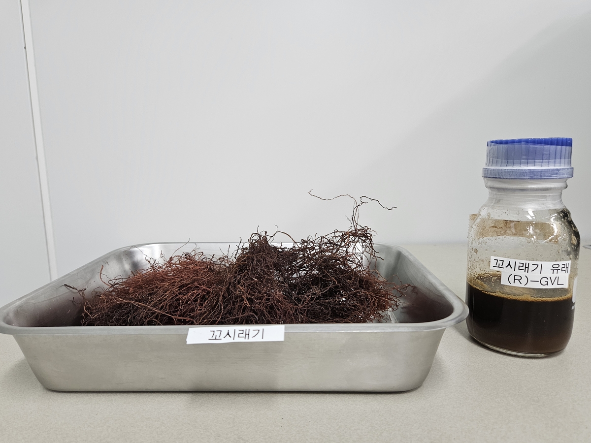 SAF, 해조류로 생산한다!