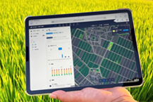 바스프, AI로 비료·농약까지 최적화