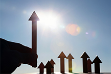 공업염, 수입가격 상승 불가피