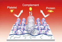 폴리머, 의료기기용 성장 기대