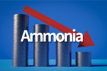 암모니아, 아시아 공급과잉 장기화