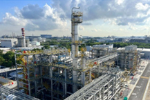 DL케미칼, 싱가폴 라텍스 공장 가동