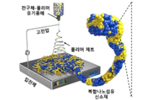 KAIST, 온실 감축 SOEC 개발 성공